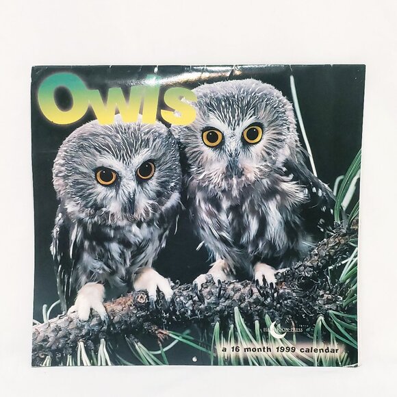 Owls Birds Calendar 1999 Halfmoon Press The Time Factory 16 Months - Picture 1 of 9